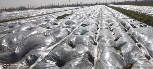 微信图片_20231211125954.png 微信图片_20231211125954.png