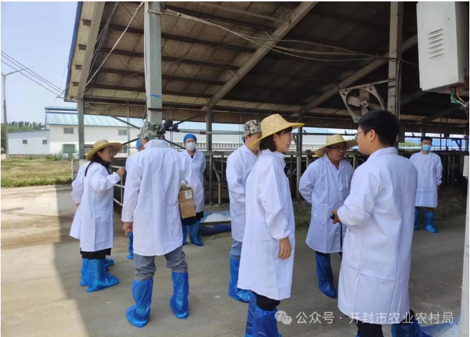 1719990684575.png 1719990684575.png