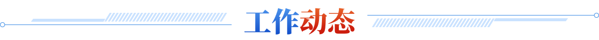 工作动态