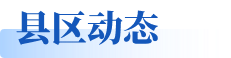 县区动态