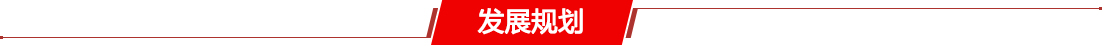 发展规划