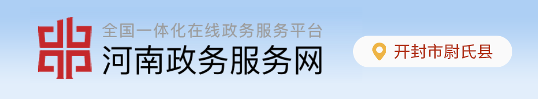 河南政务服务网